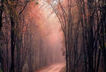 开云：[棋牌]乐弈场第46场周赛 史轶君夺得积分／实力榜冠军.