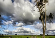 开云：天涯婆媳论坛网络八卦事件八卦卦象对应数字.