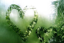 意媒：巴斯托尼和队友德弗里相撞受伤，赛后右眼眉骨处缝了两针.