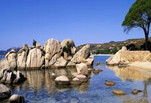 张本智和：给妹妹成都混合团体世界杯首战表现打100分.